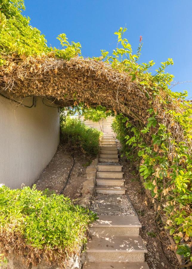 Villa Aphrodite Gardens #8 Paphos
