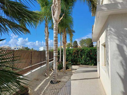 King's Holiday Paphos