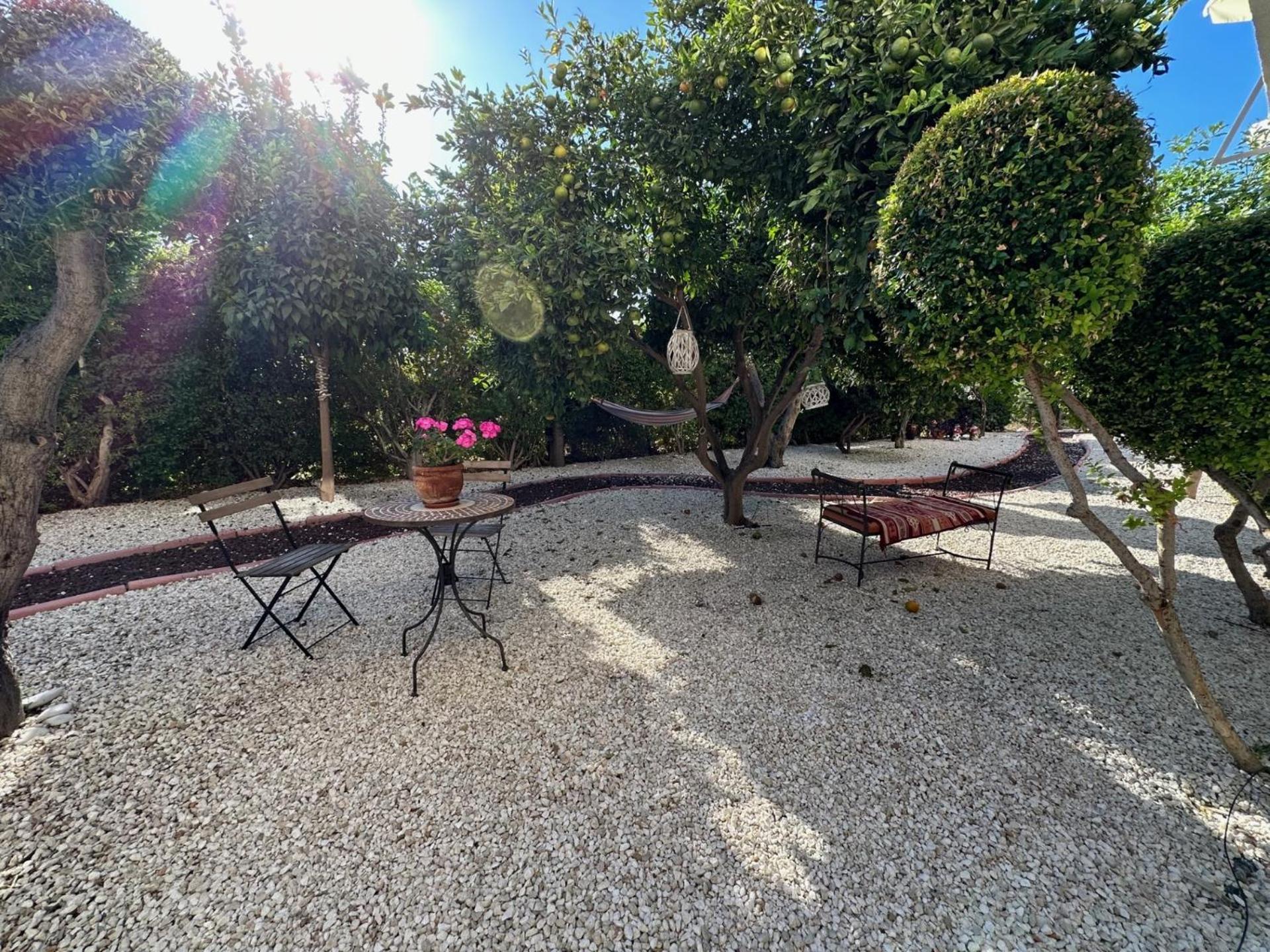 King's Holiday Paphos