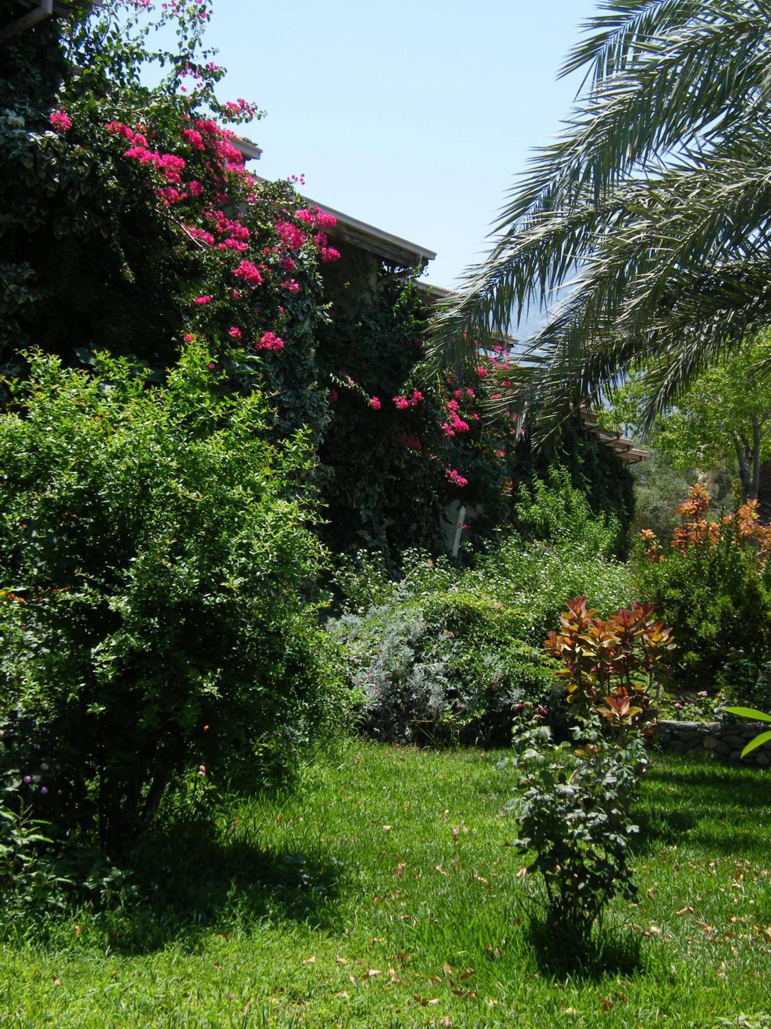 Riviera Beach Resort