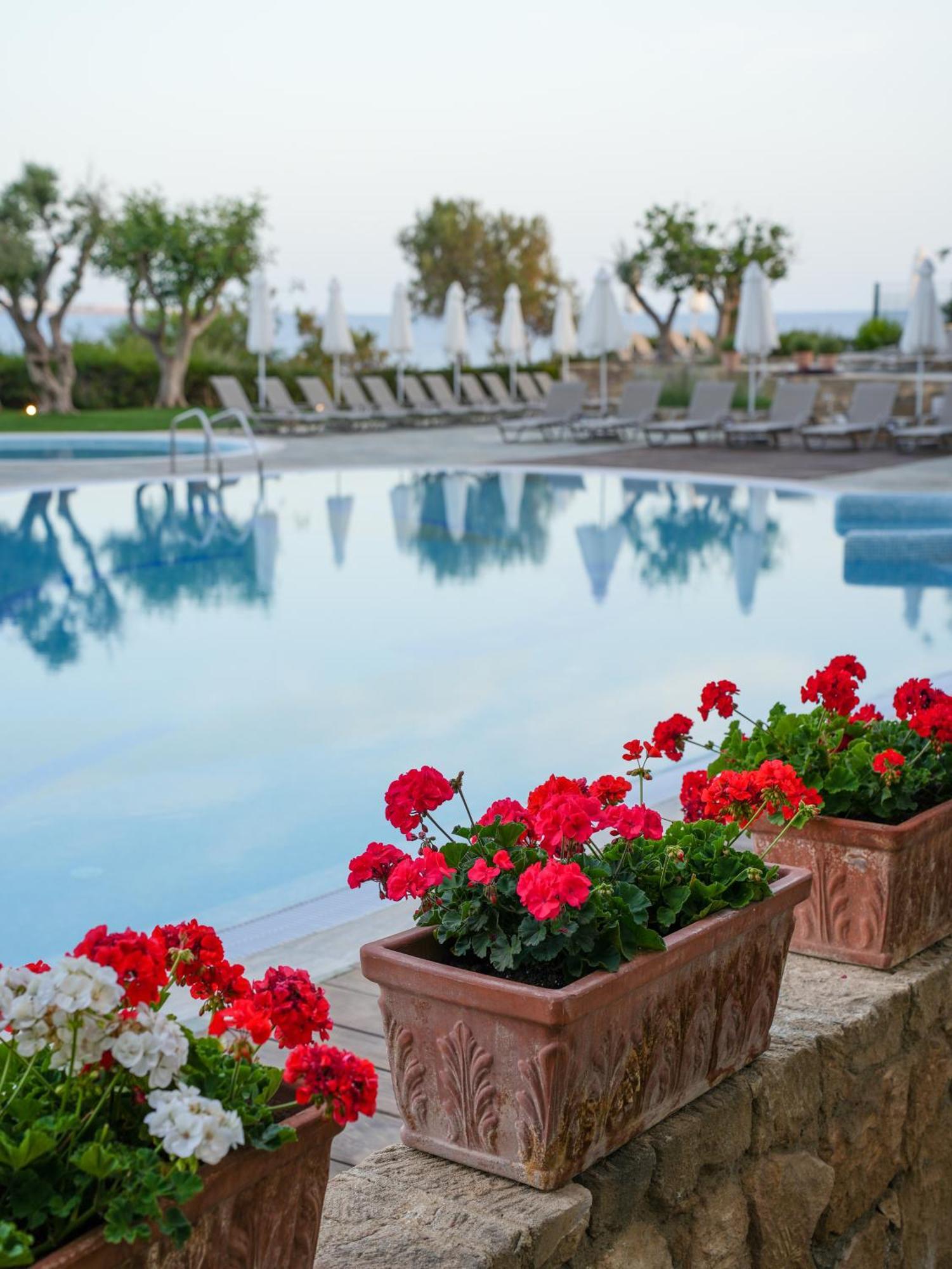Thalassa Boutique & (adults Only) Coral Bay