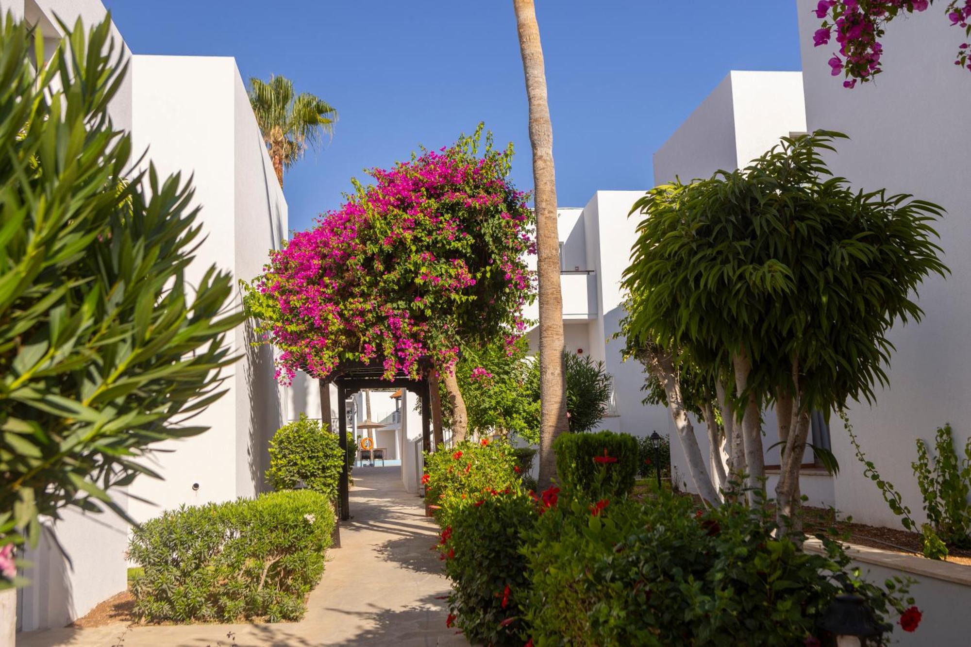 Kapetanios Aqua Resort