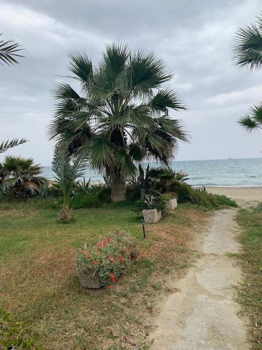 Apartment Sandy Sea View Pyla
