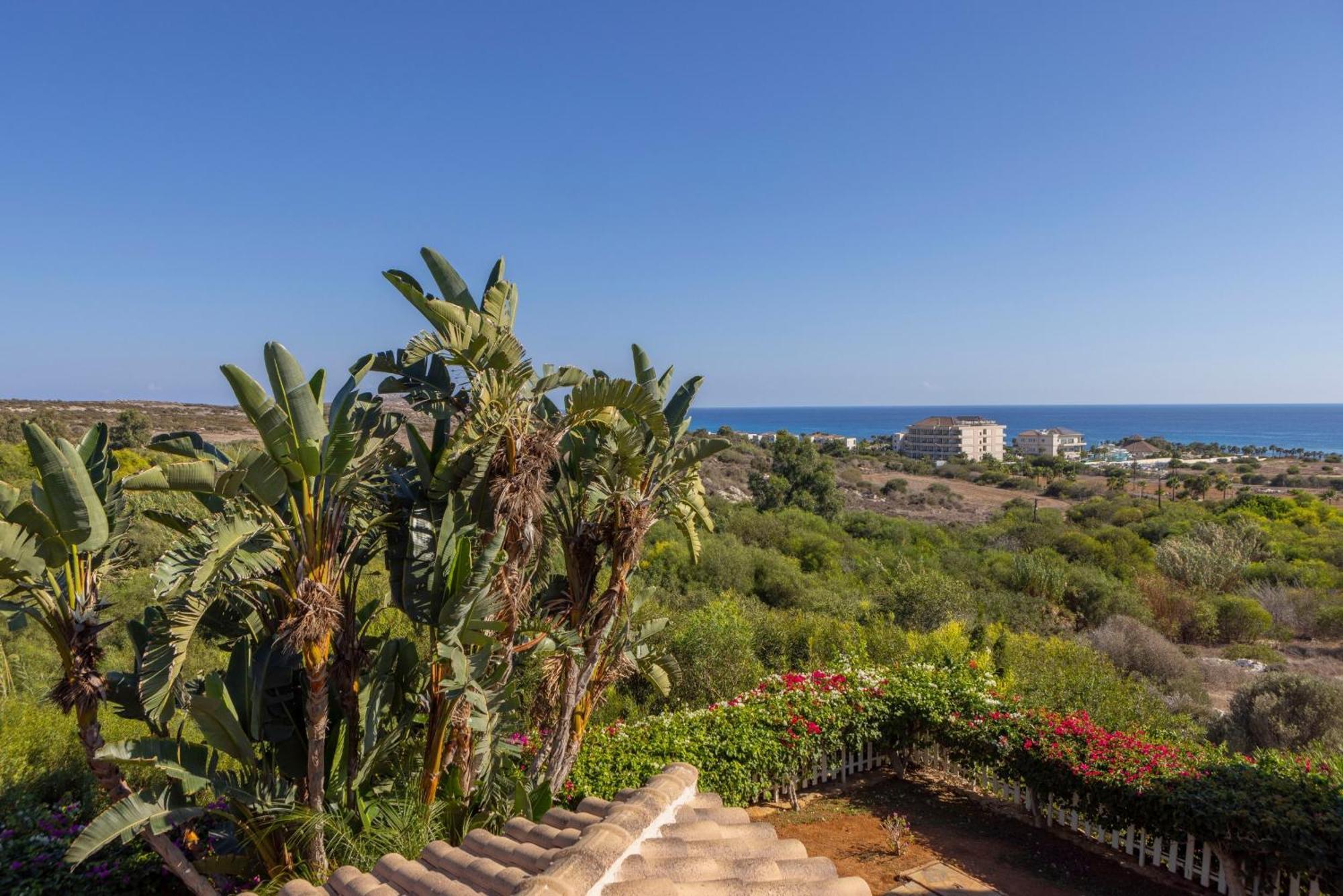 Sycamore Seaview Ayia Napa
