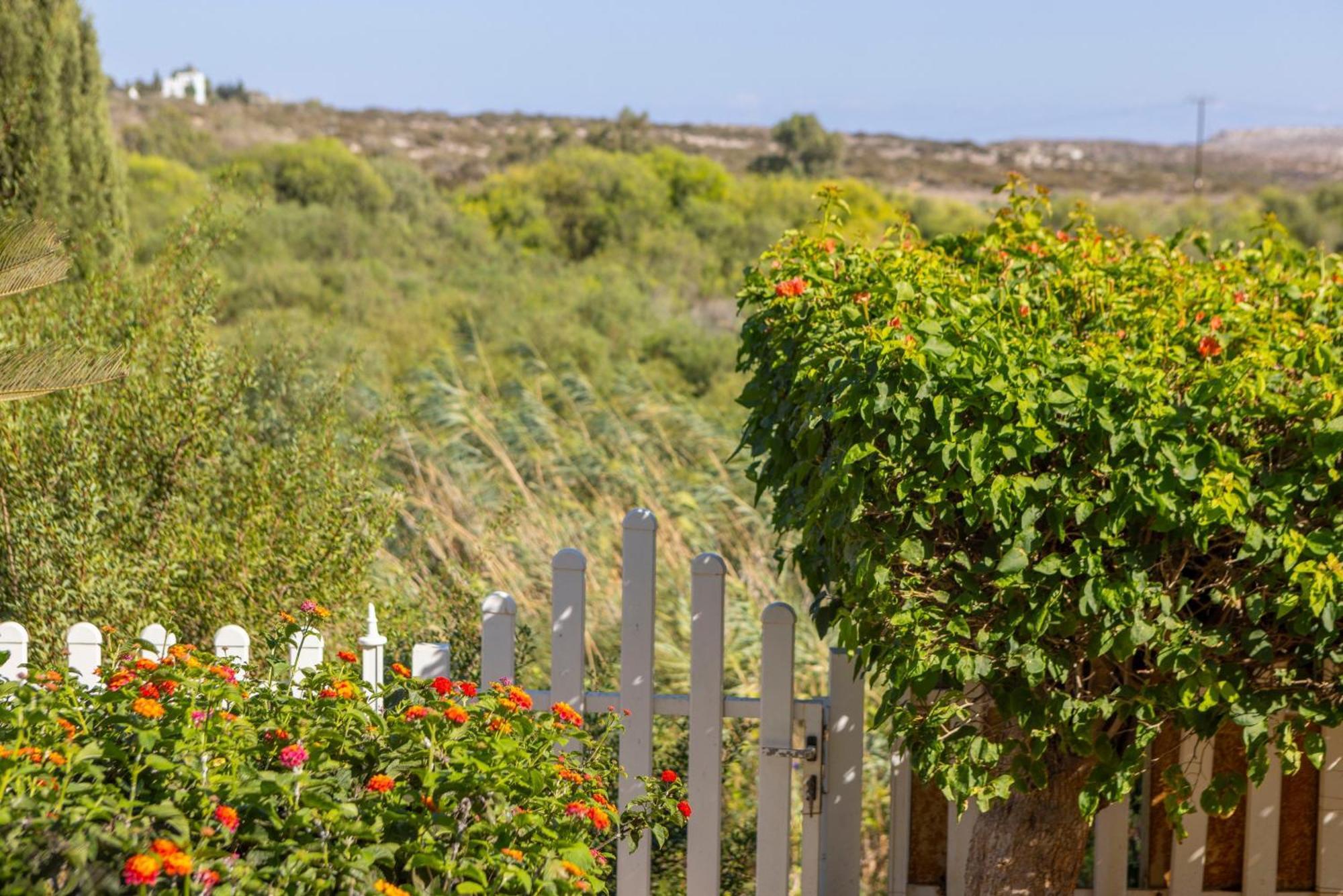 Sycamore Seaview Villa Ayia Napa