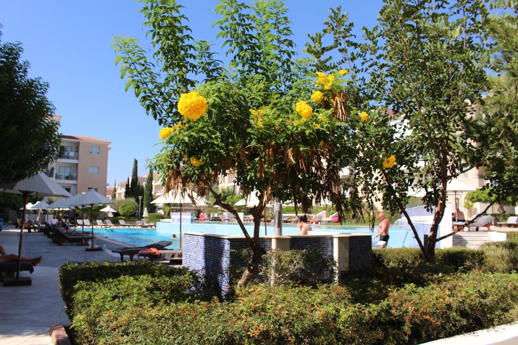 Sunset Vacation At Elysia Park * Paphos