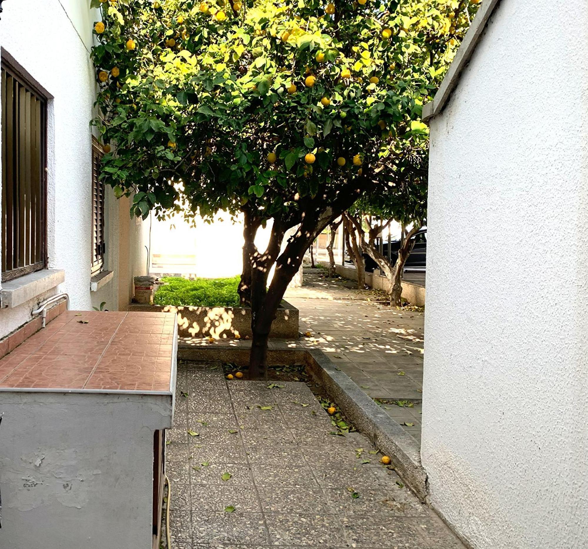 Apartment Sandy Sea View Pyla *