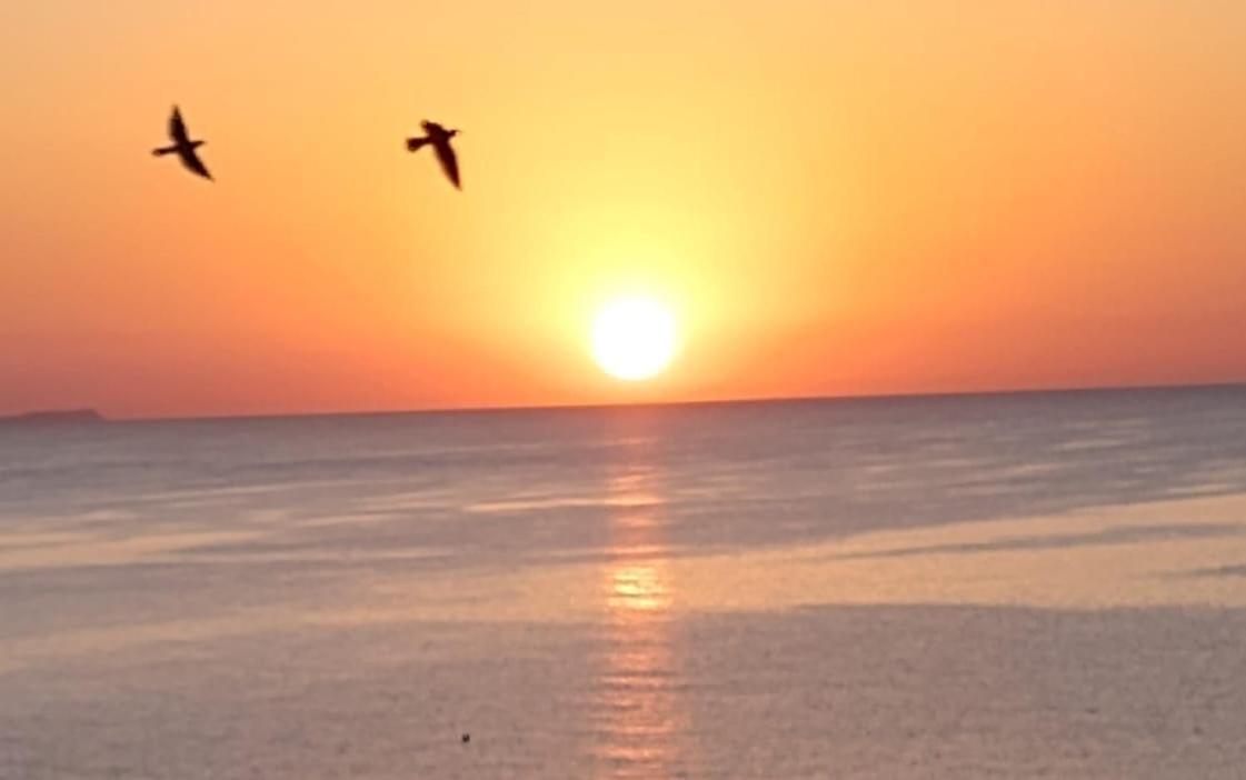 Finikoudes Sunrise Sea View Lux * Larnaca