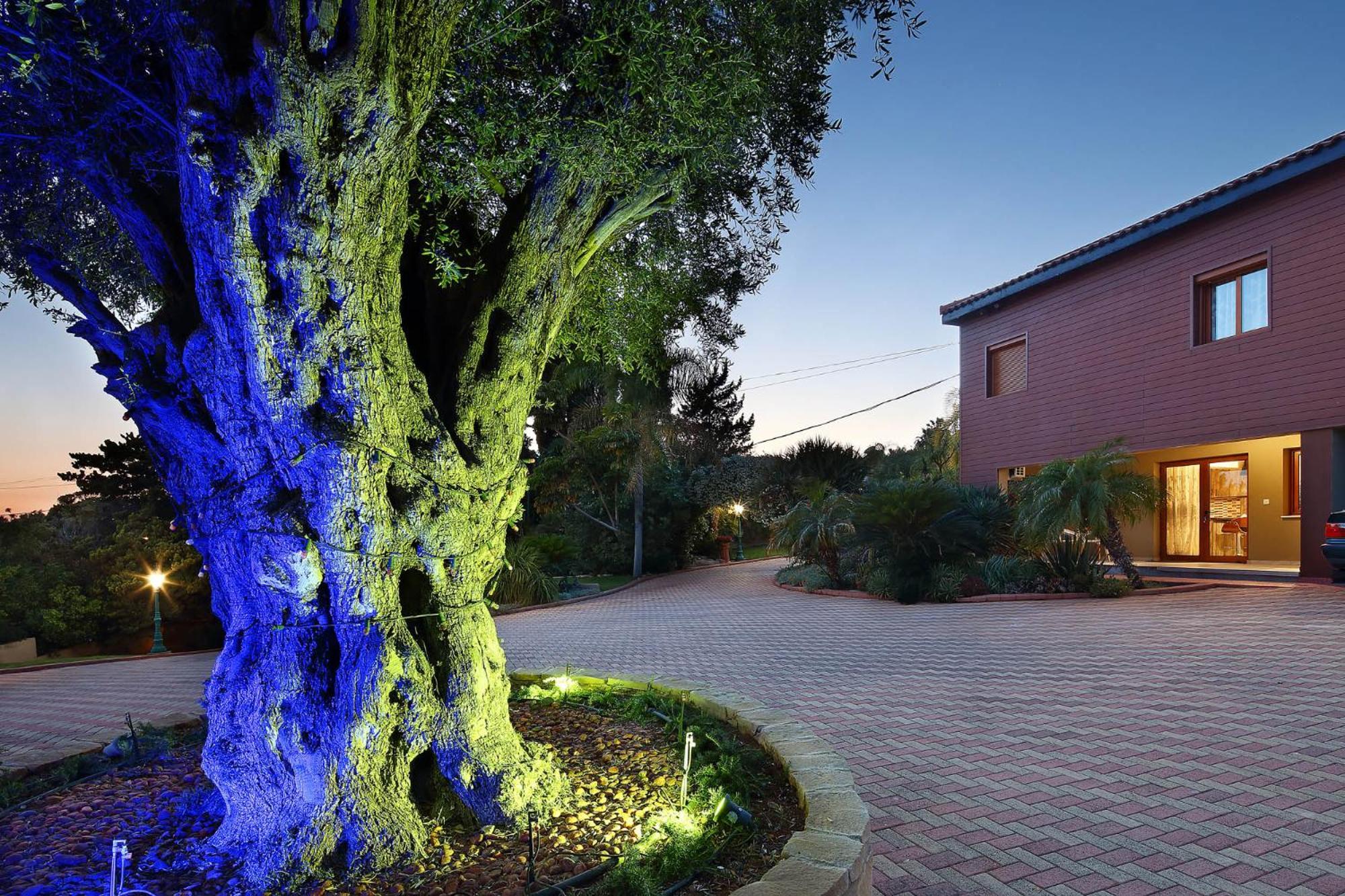 Appartement Olive Tree Limasol