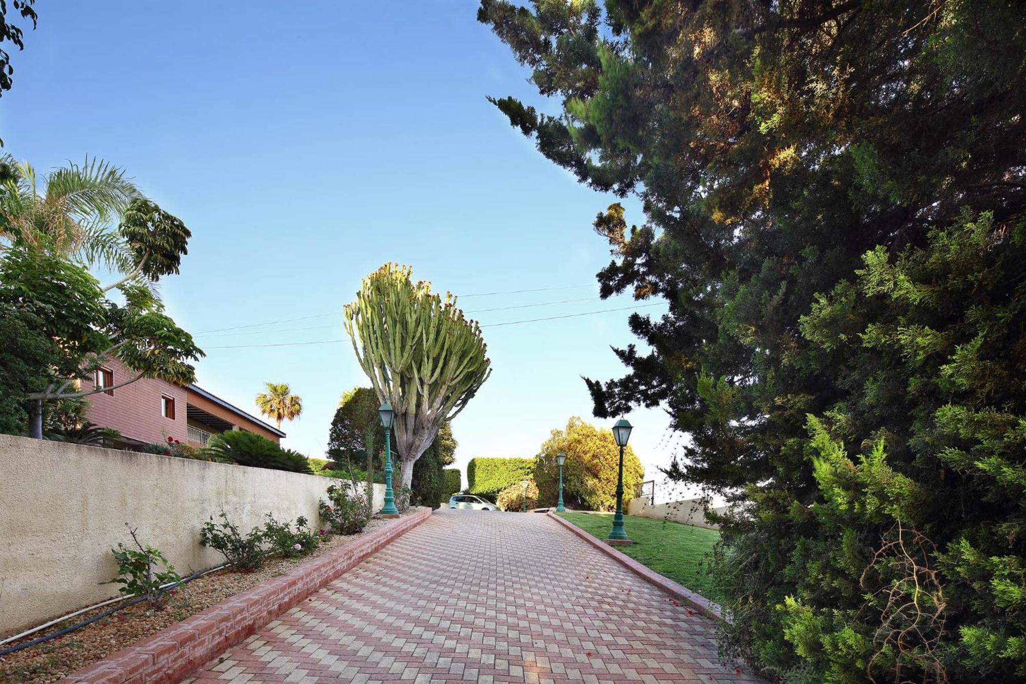 Appartement Olive Tree