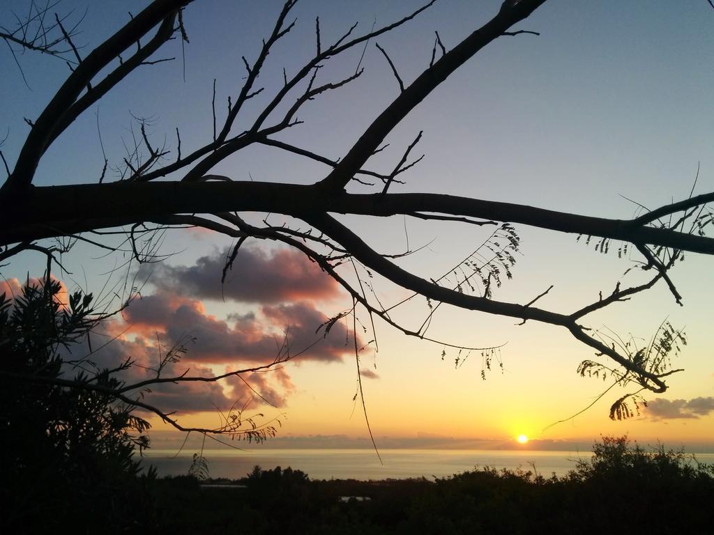 Villa Coral Sunset