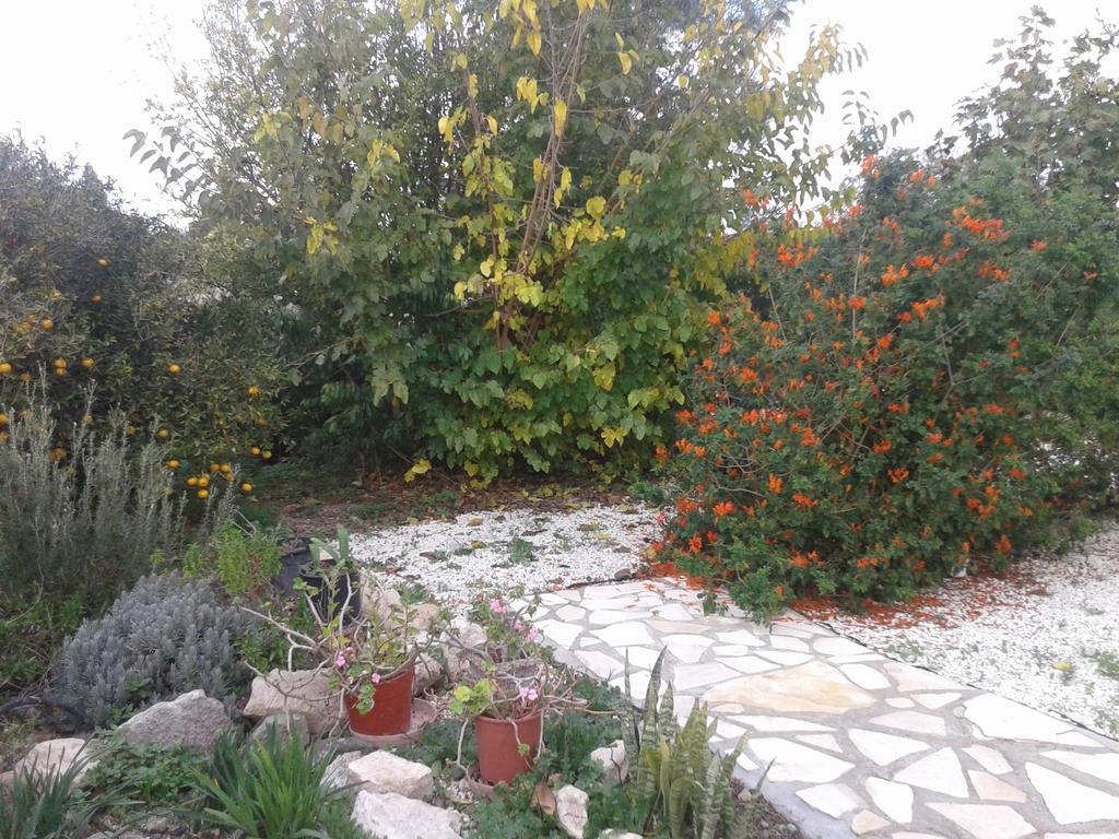 Appartement Arilena