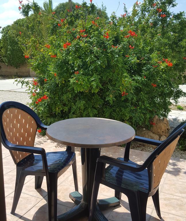 Arilena Paphos