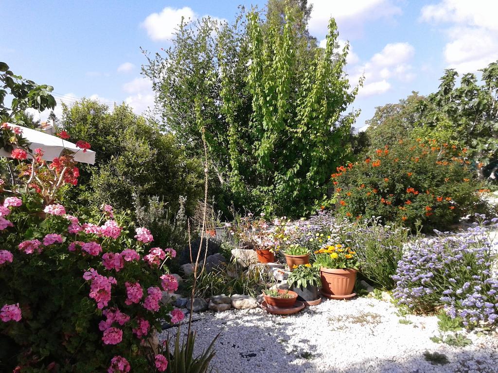 Appartement Arilena Paphos