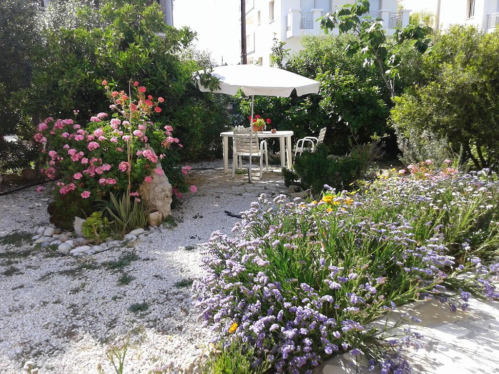 Arilena Paphos