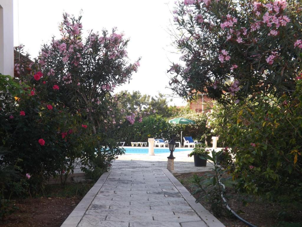 Paradise 2*