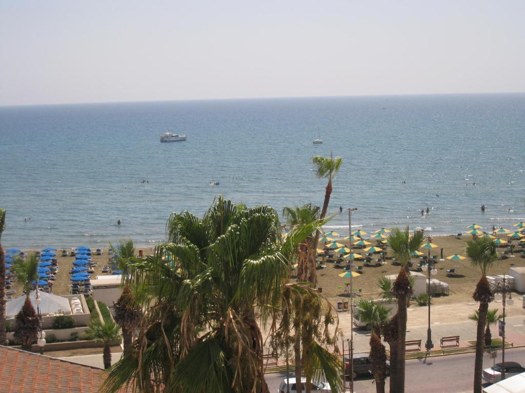 Palm Sea 2*