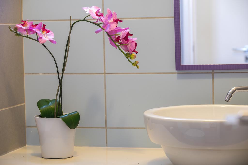 Apartment Aster Protaras