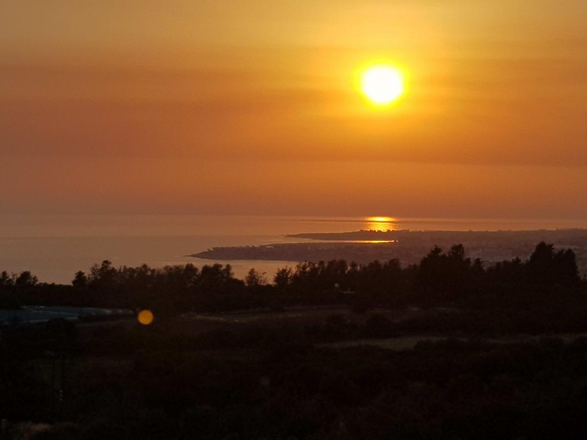 Coral Sunset * Tala