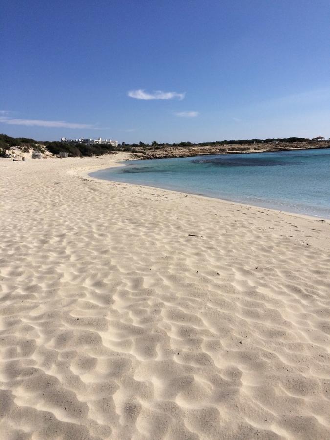 Favor - 3 Bed With Pool Close To Nissi Villa