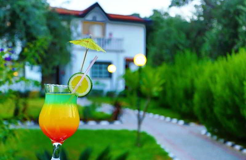 Hotel The Ship 3*