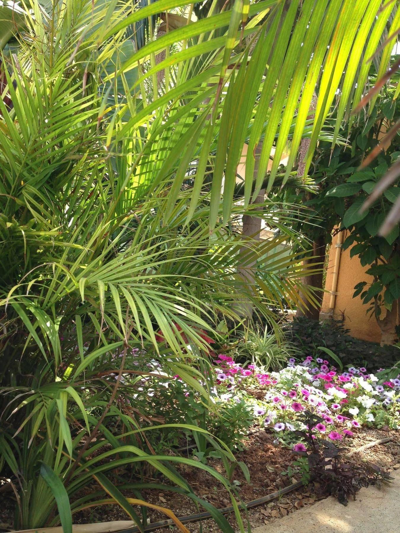 Apartamento Constantaras *