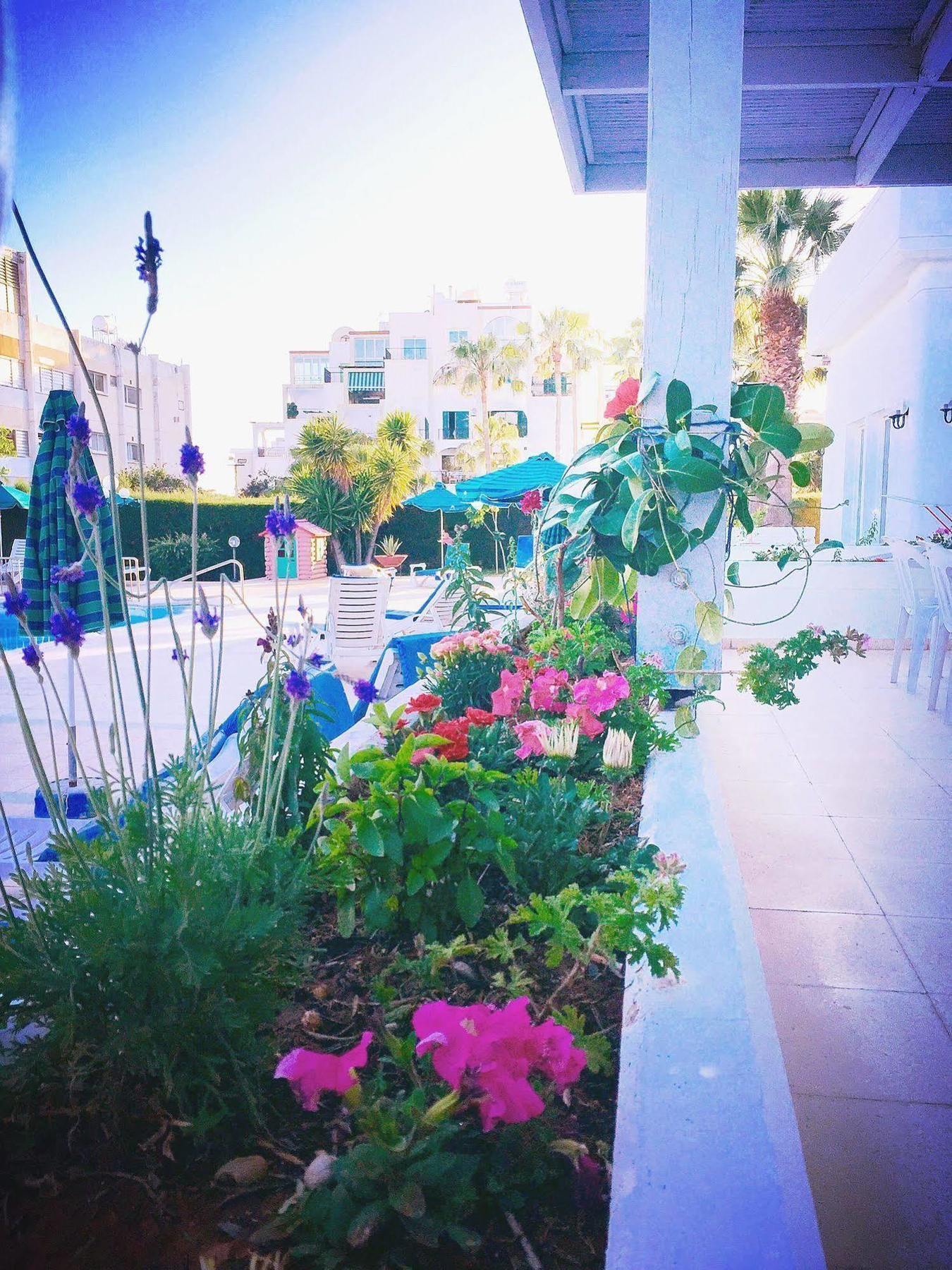 Blue Crane Apts 3* Limassol