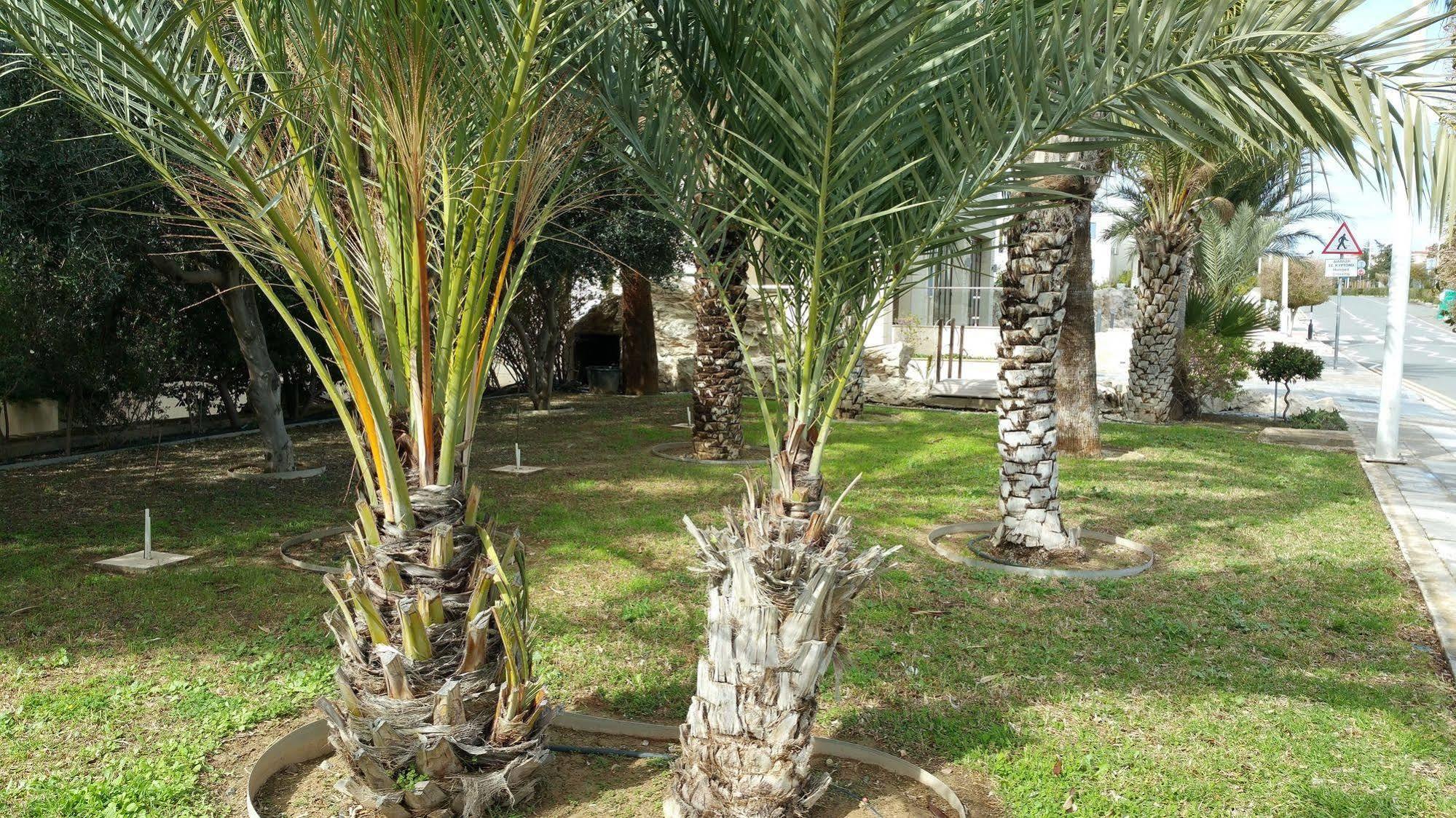 King's Holiday Paphos