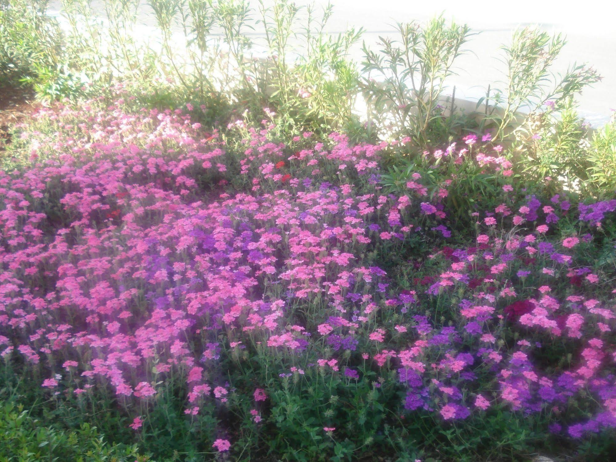 Akamas Health Farm &