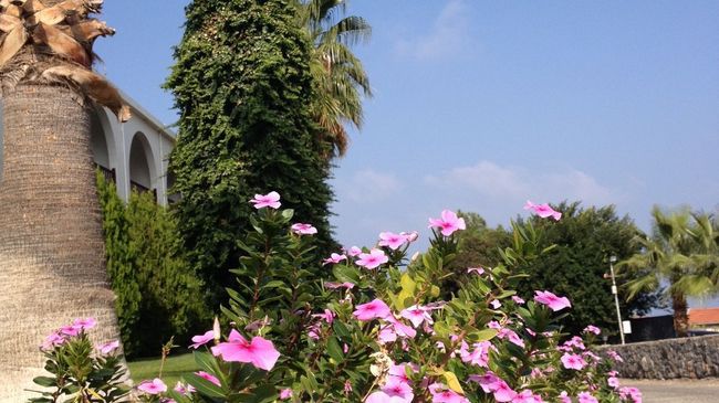Onar Village 3* Kyrenia (Northern Cyprus)