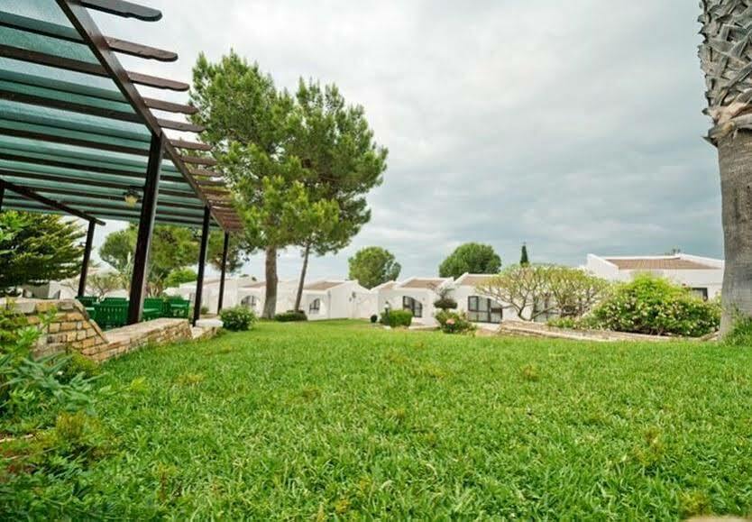 The Olive Tree Hotel
