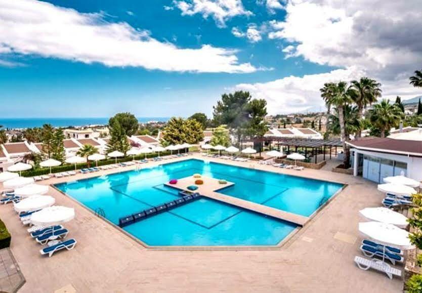 Hotel The Olive Tree Agios Epiktitos