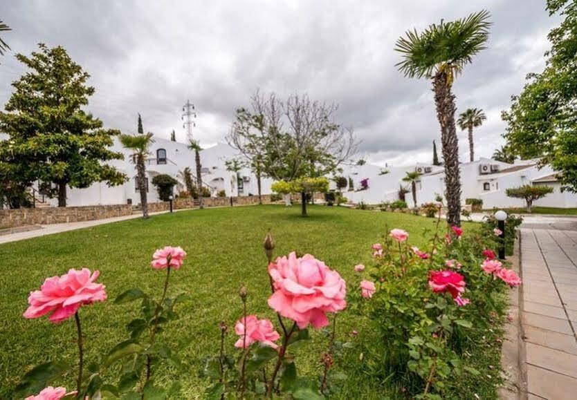The Olive Tree Hotel Agios Epiktitos