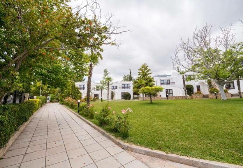 The Olive Tree 4* Agios Epiktitos