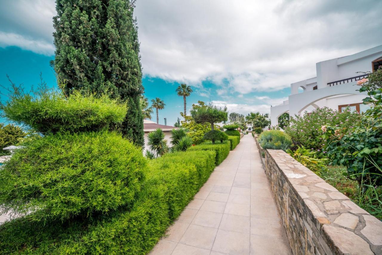 The Olive Tree Hotel 4*