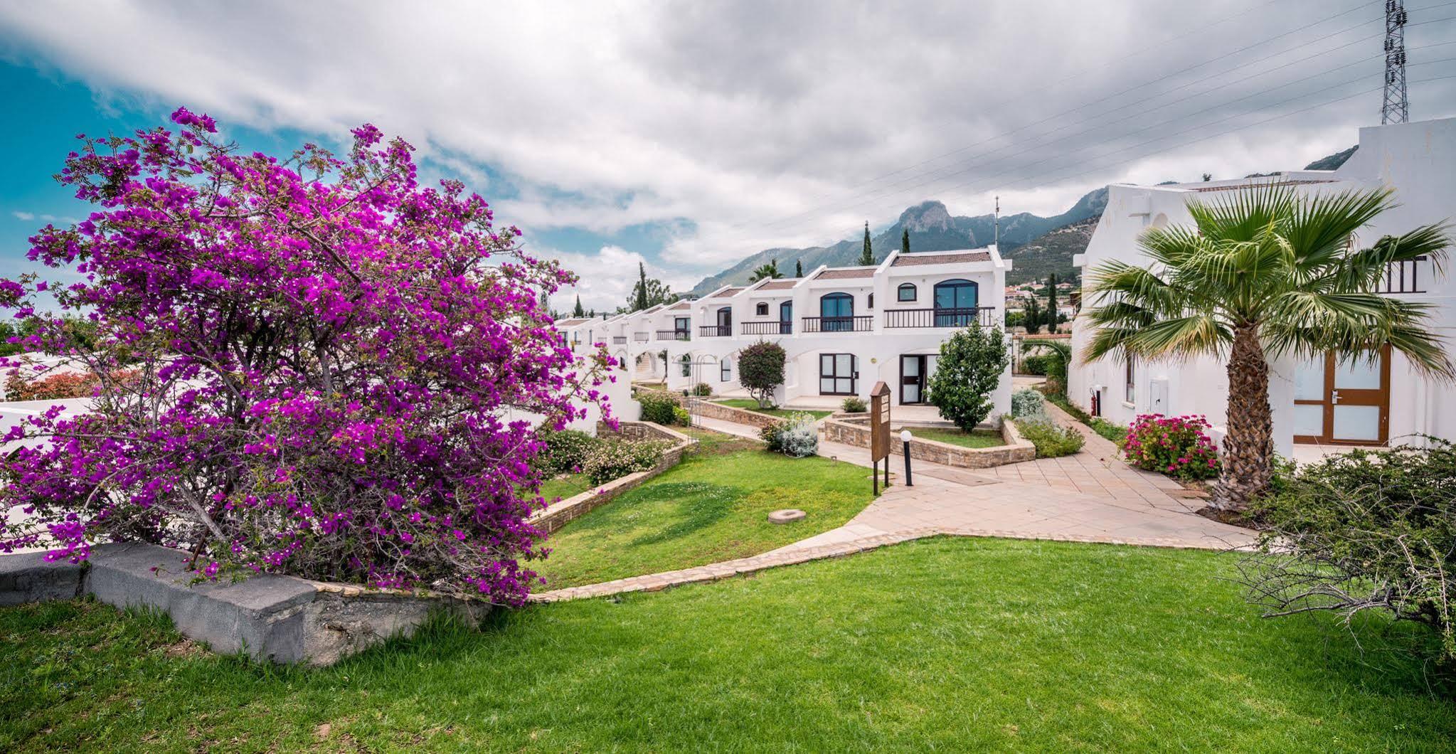 The Olive Tree Hotel Agios Epiktitos
