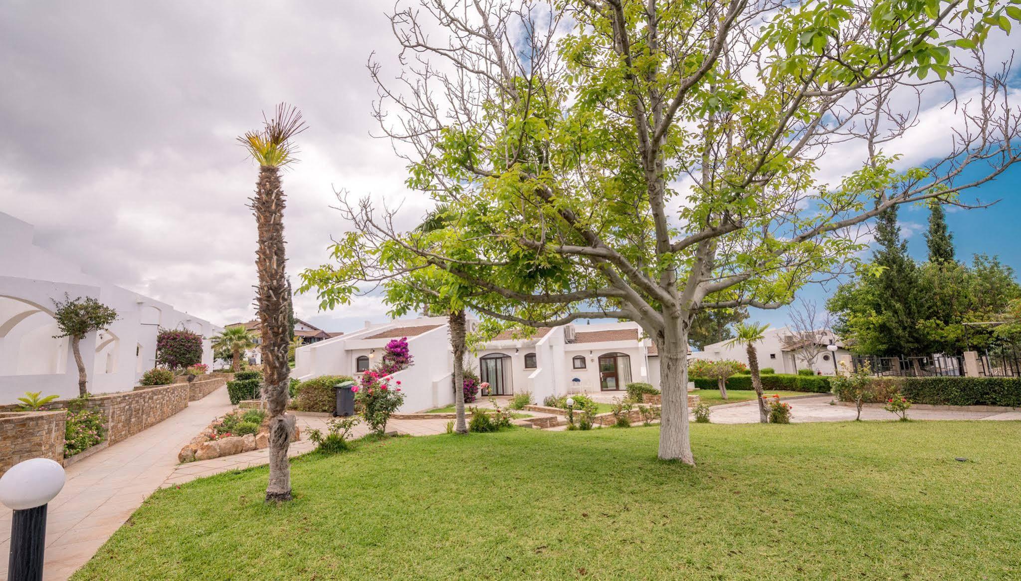 Hotel The Olive Tree Agios Epiktitos