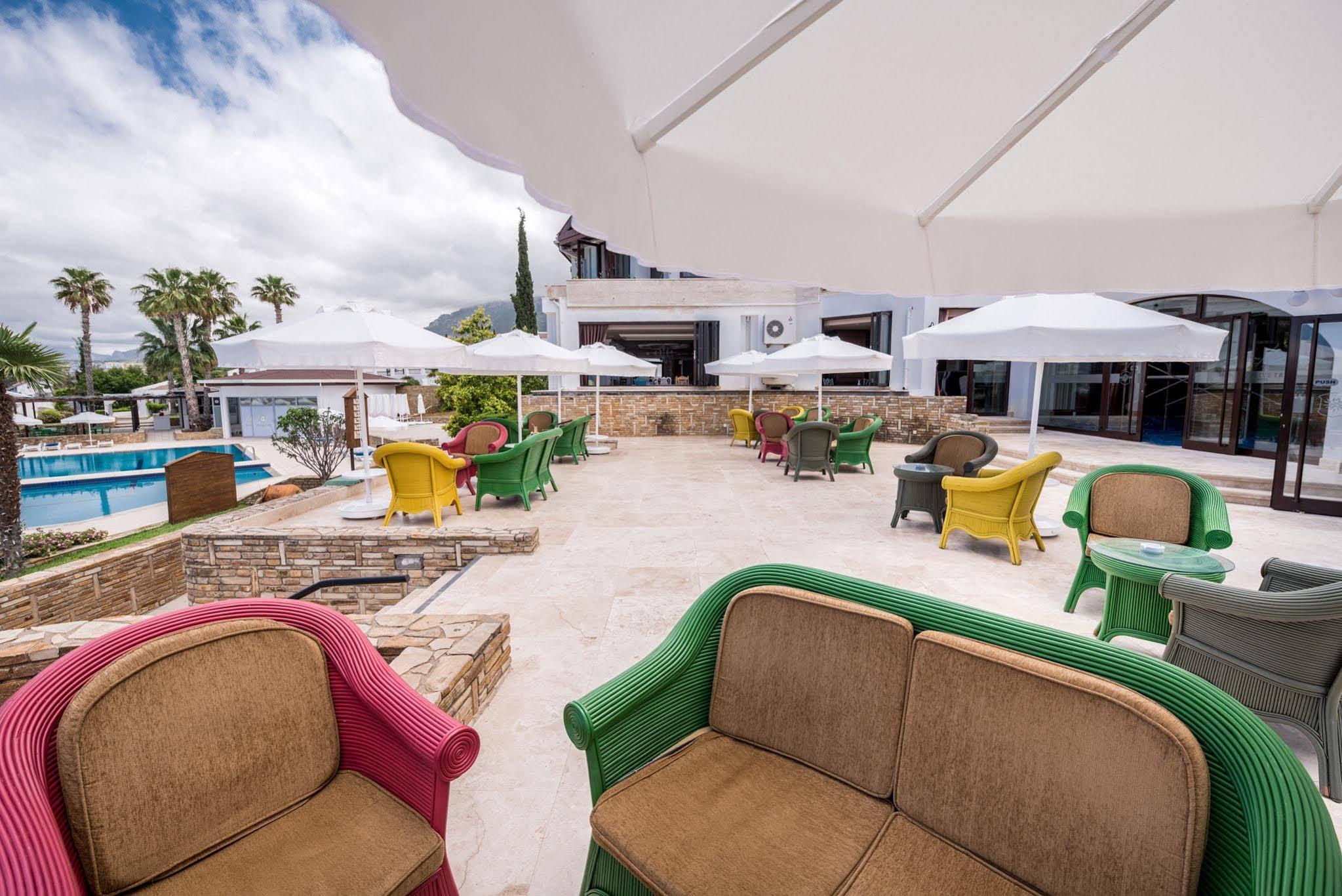 The Olive Tree 4*