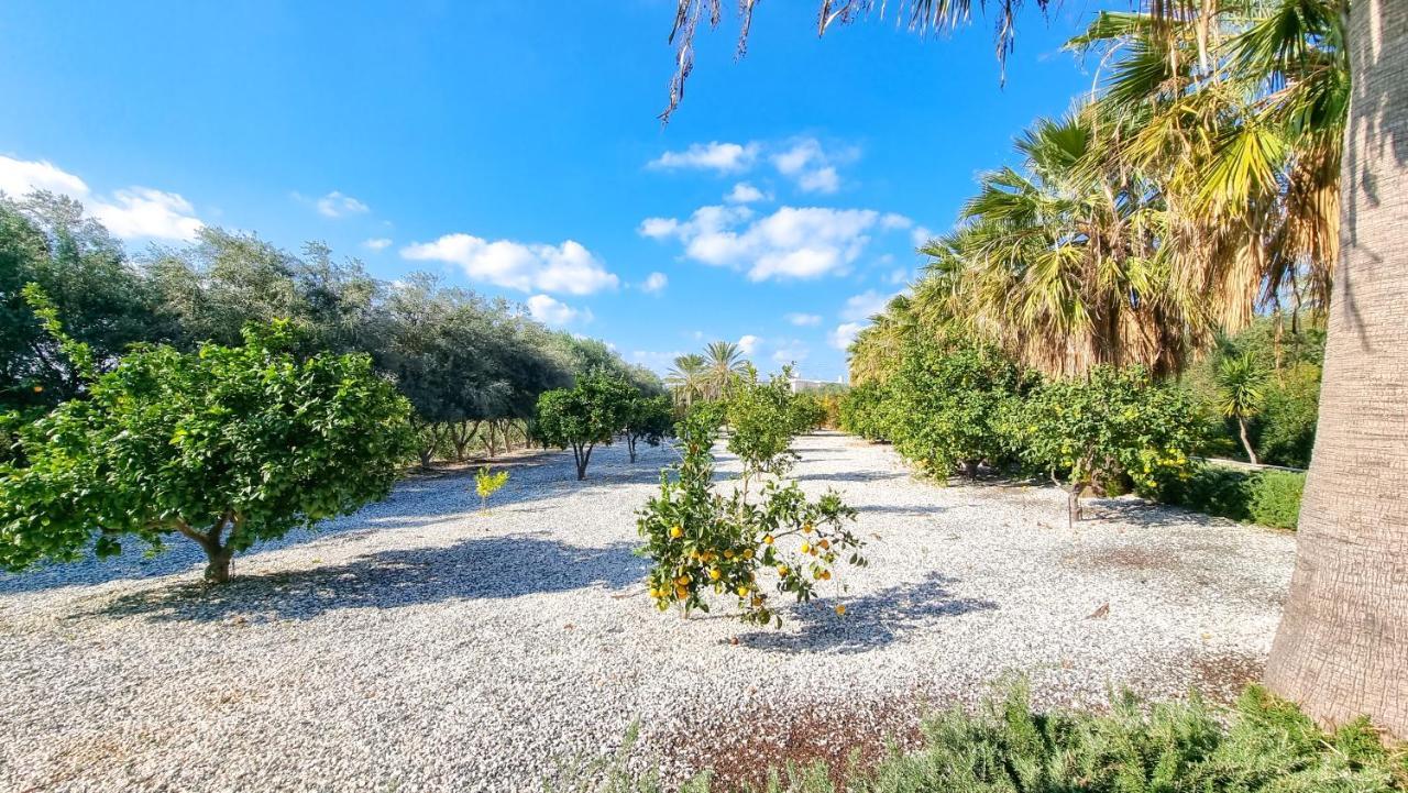 Villa Leto 13 Paphos