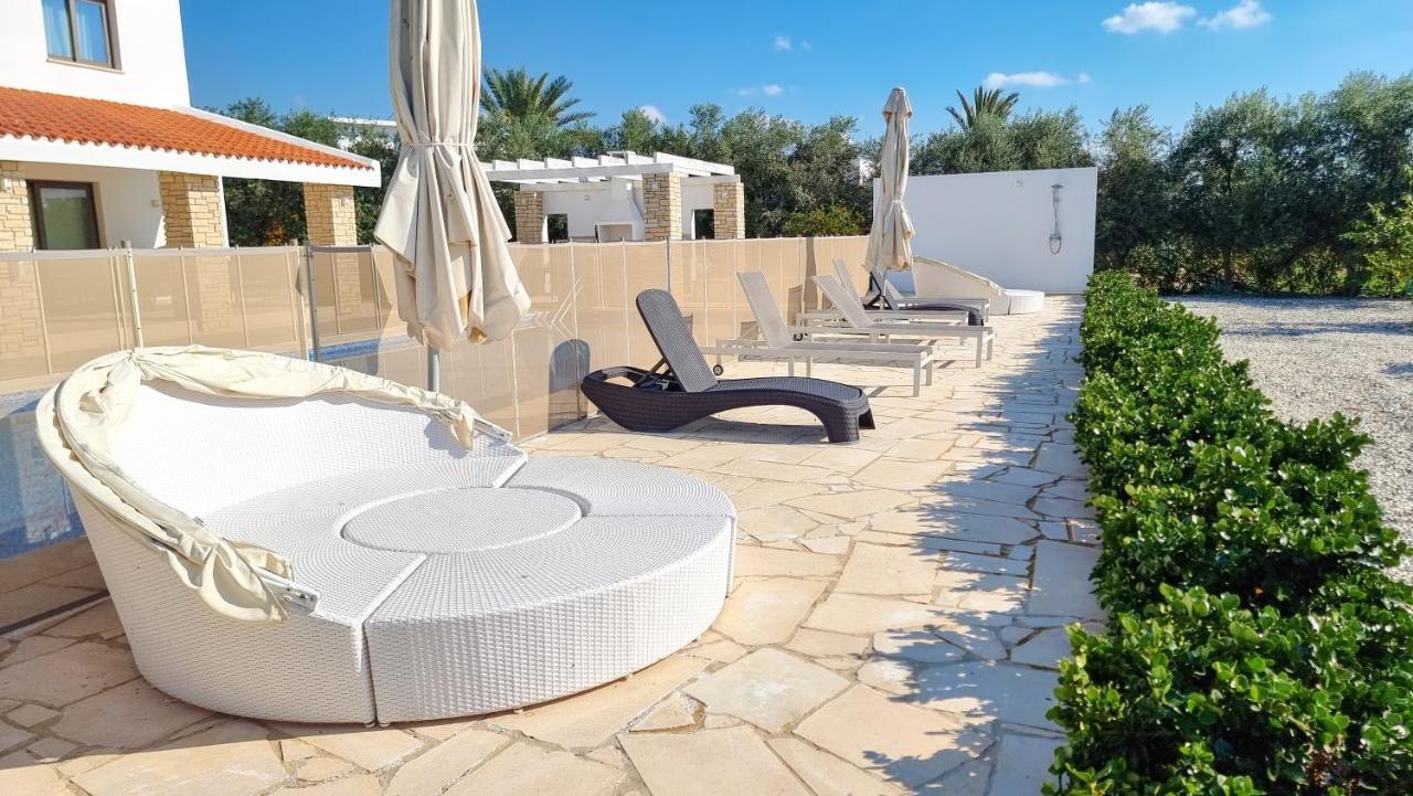 Leto 13 Paphos