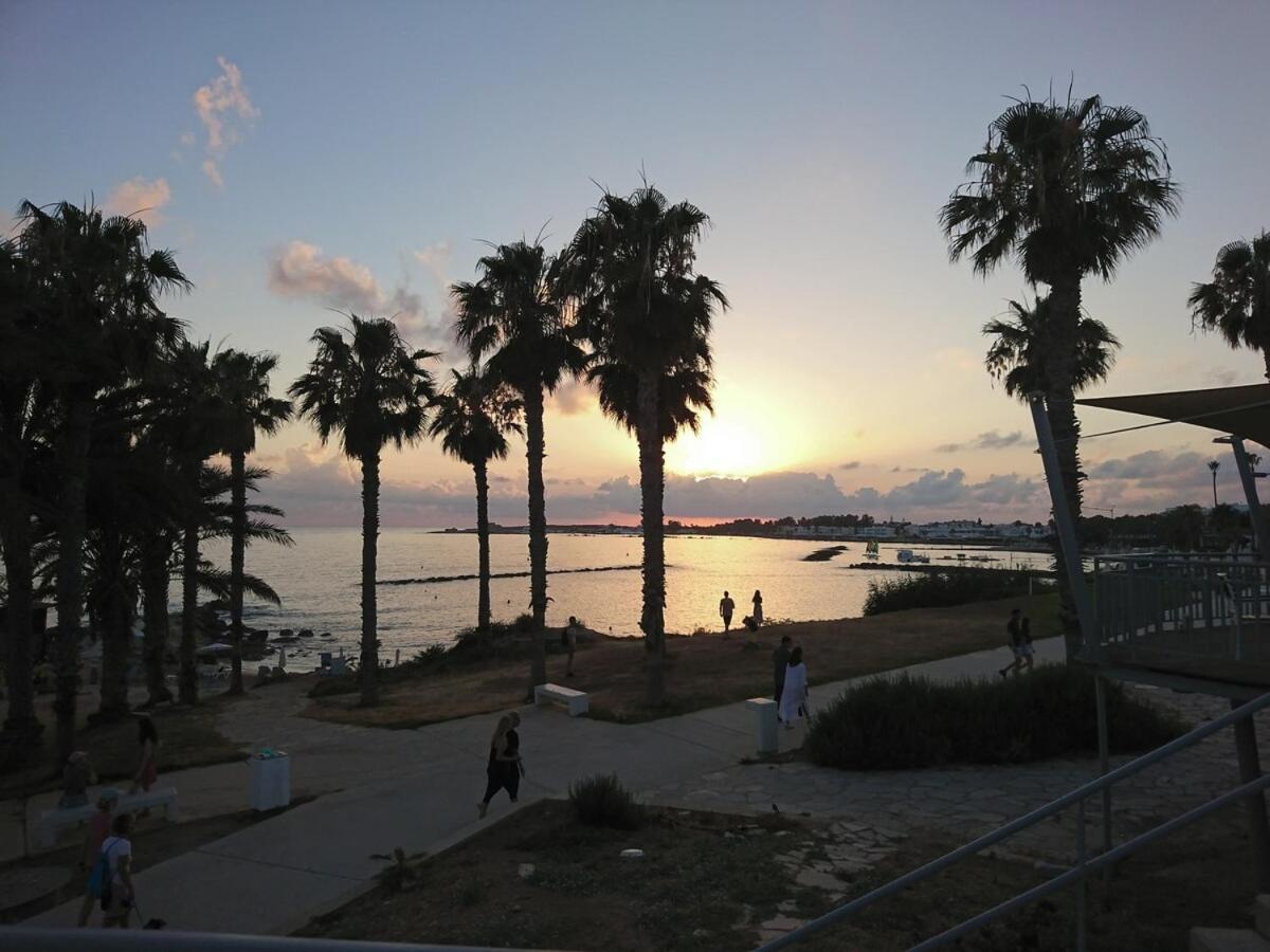 1-2bd Paphos