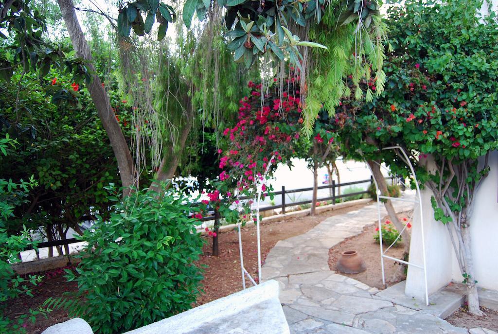 Margarita 110 Paphos
