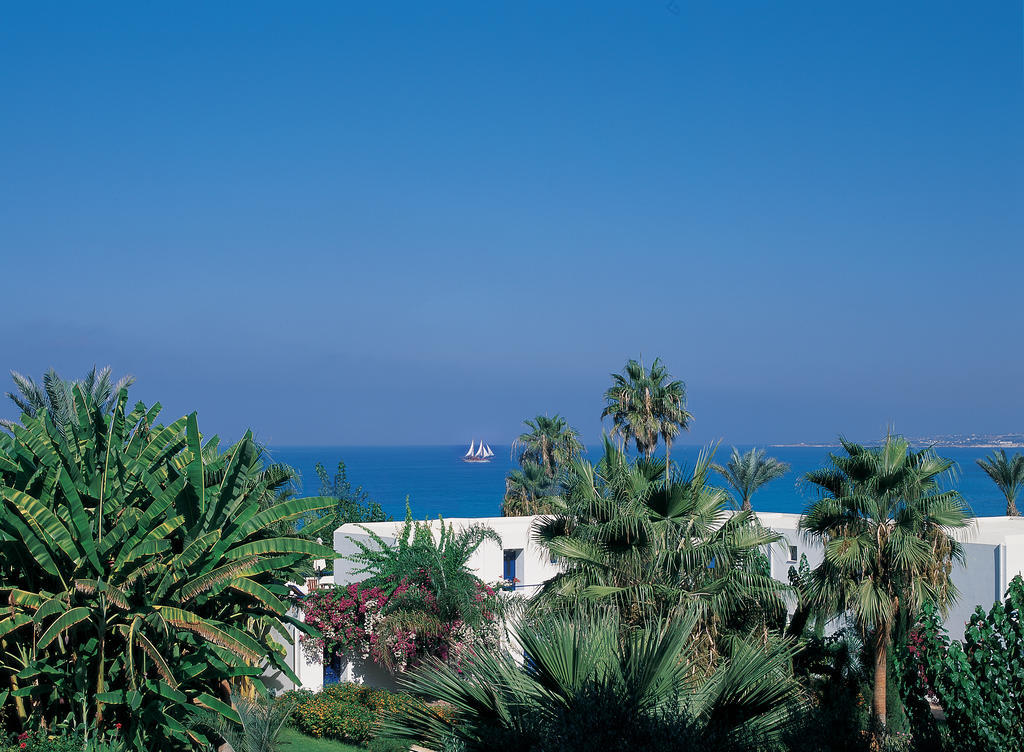 Azia & Paphos